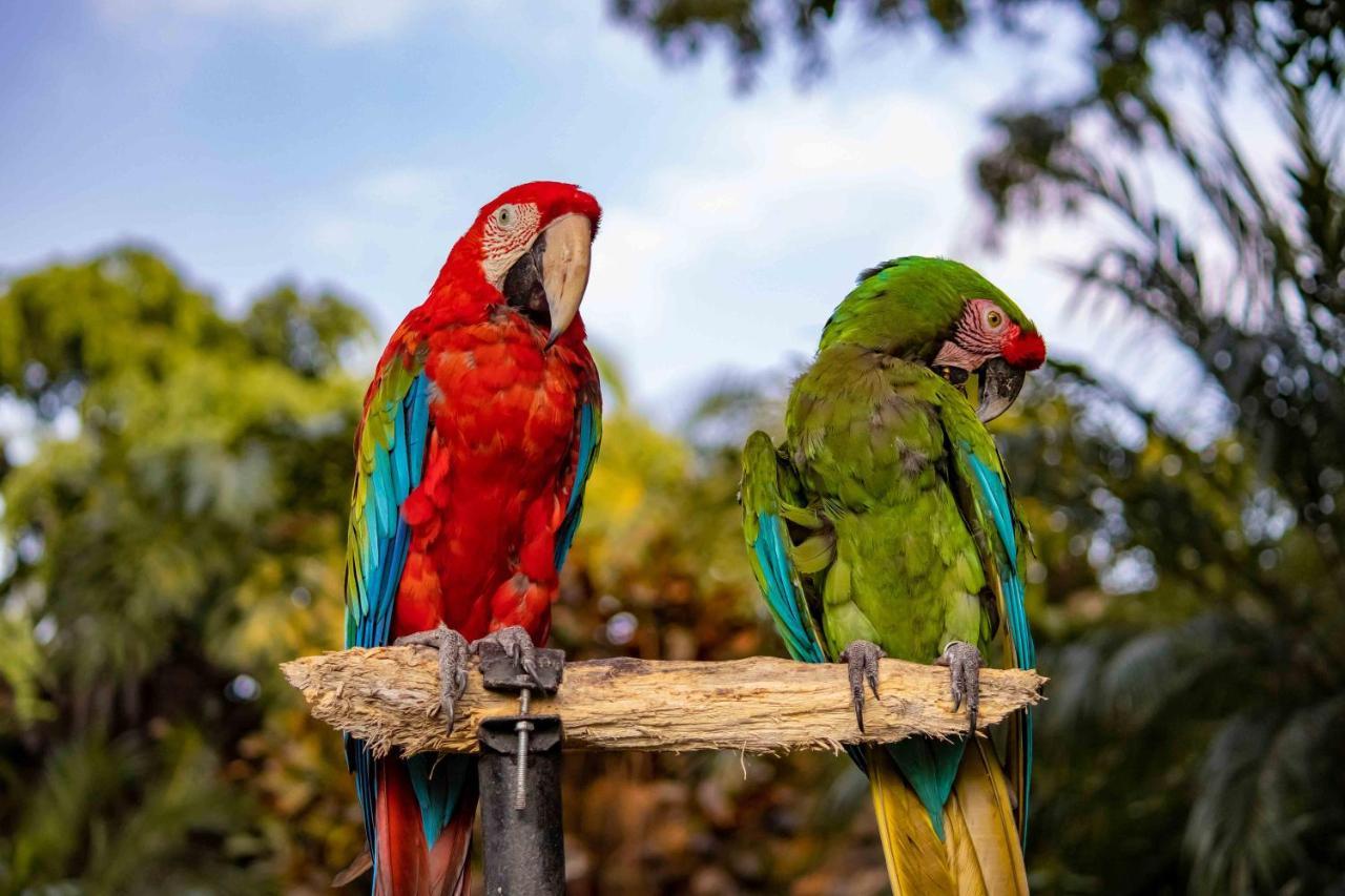 Las Mananitas Cuernavaca Exteriér fotografie