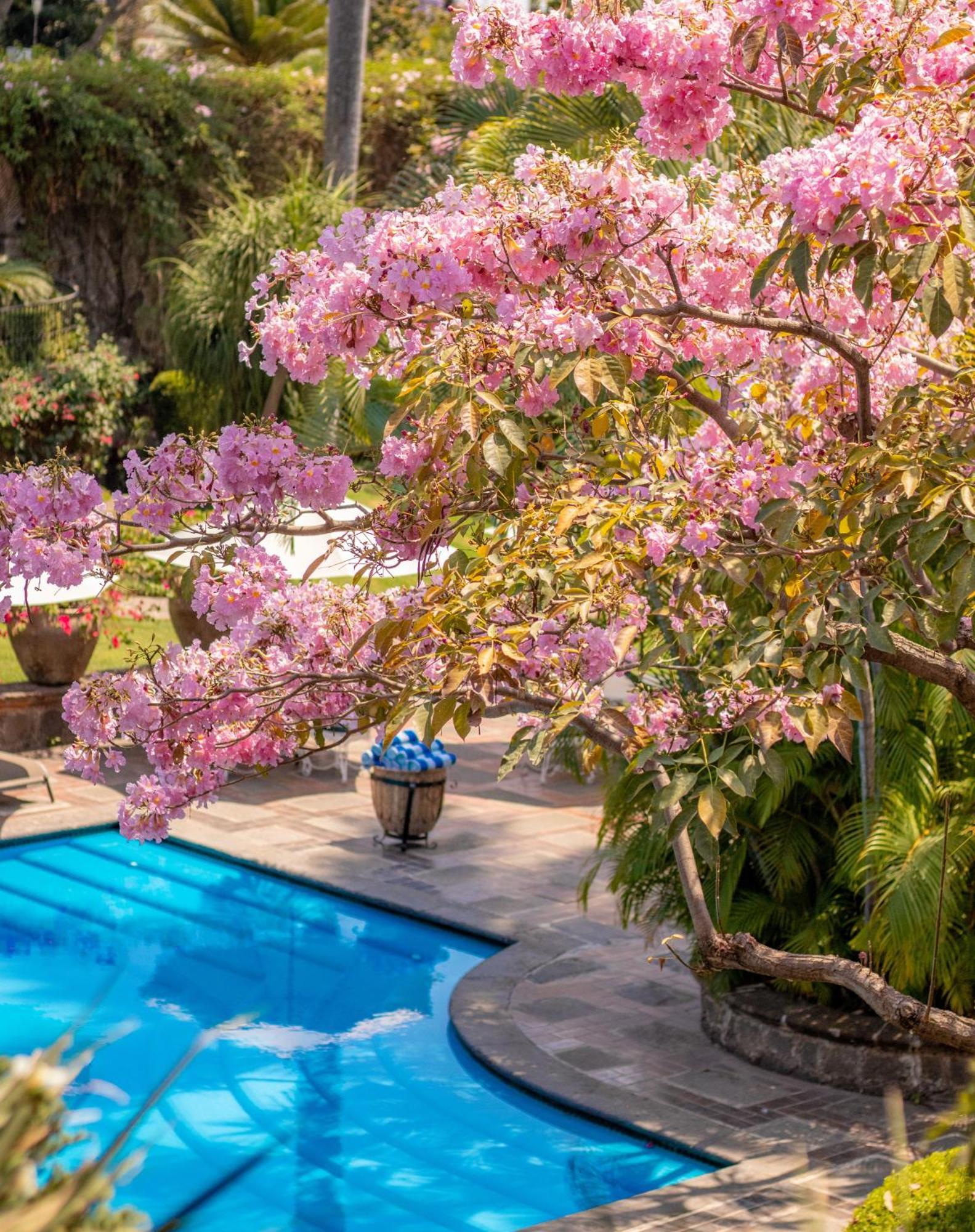 Las Mananitas Cuernavaca Exteriér fotografie
